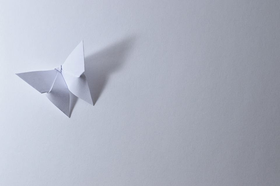 papillon papier origami